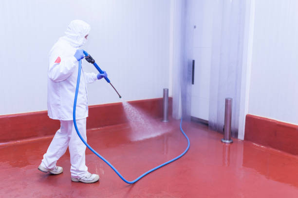 Best Spring Cleaning  in Mangonia Park, FL