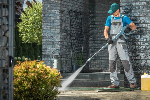 Best Rust Removal  in Mangonia Park, FL