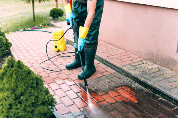 Best Gutter Cleaning  in Mangonia Park, FL