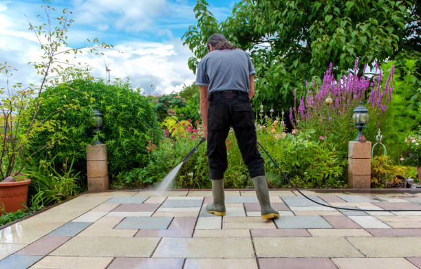 Best Fence Cleaning  in Mangonia Park, FL
